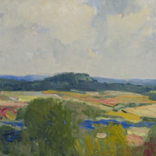 Pangodi Landscape (17244.4551)