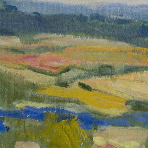 Pangodi Landscape (17244.4553)