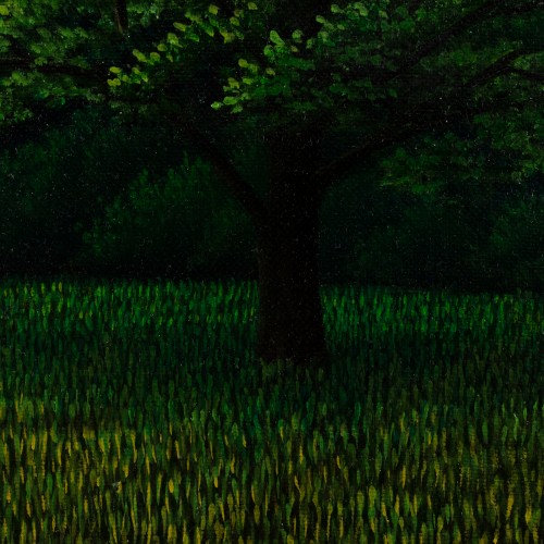 Tree on a Field (17984.7960)