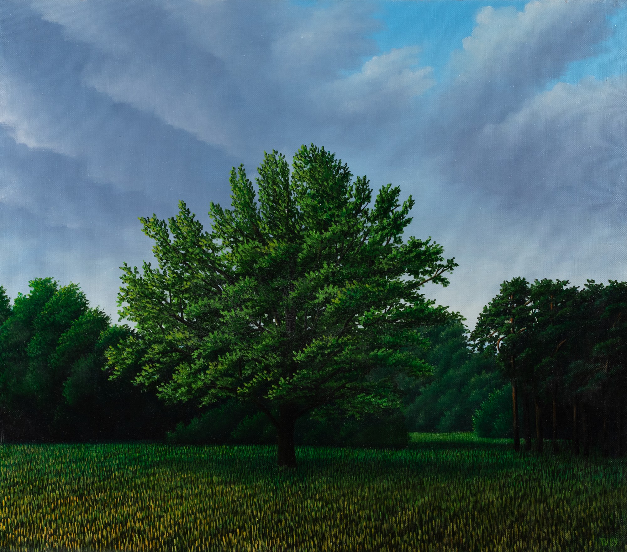 Toomas Vint "Tree on a Field"
