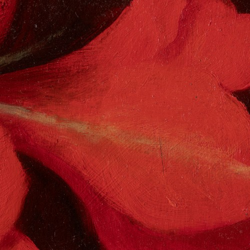 Red Amaryllis (18077.8626)