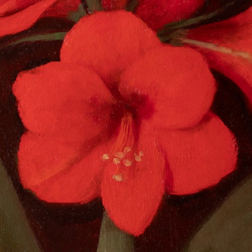 Red Amaryllis (18077.8629)