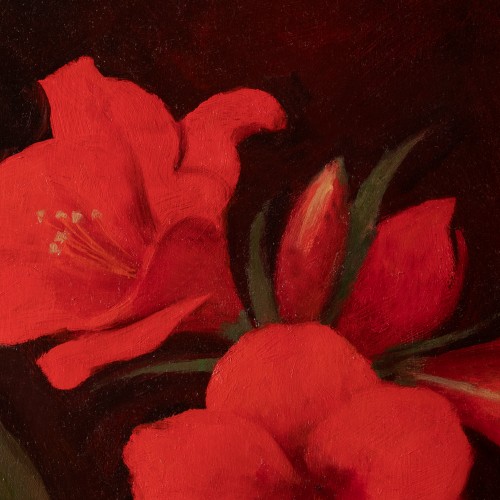 Red Amaryllis (18077.8630)