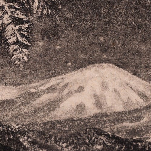 Kaameli pea (18802.10972)