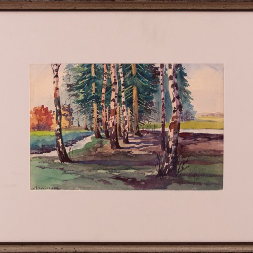 Birch Forest (19426.13402)