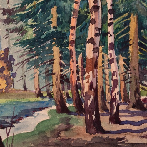 Birch Forest (19426.13403)