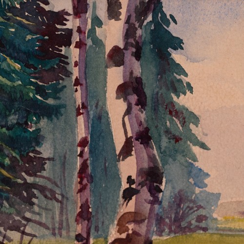 Birch Forest (19426.13406)