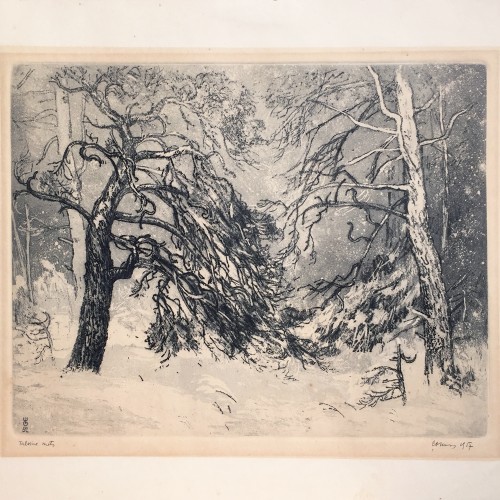 Winter Forest (19693.15237)