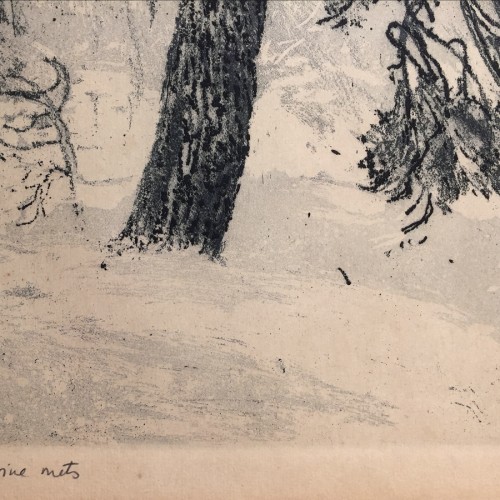 Winter Forest (19693.15239)
