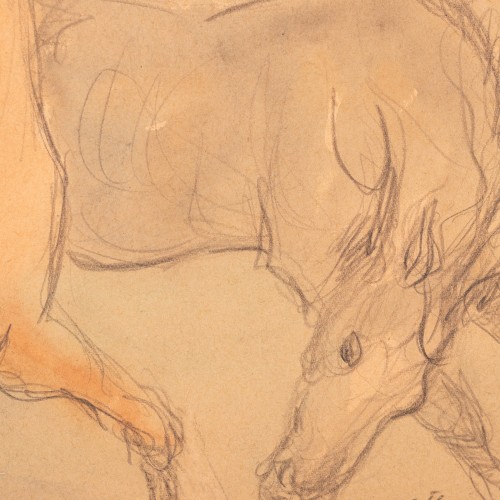Horses (19795.16057)