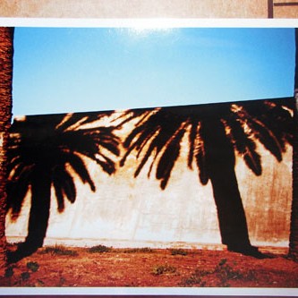 Juan Kasari "Palm Trees 1 (everything must go)"