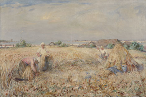 Rukkilõikus Saaremaal