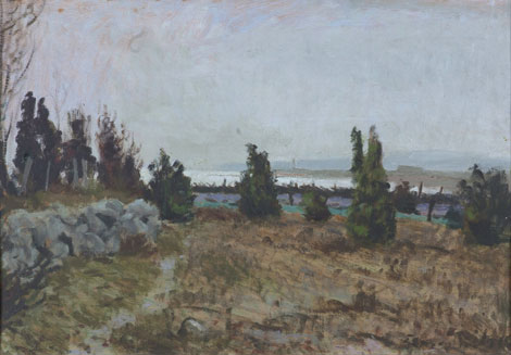 Maastik kadakatega