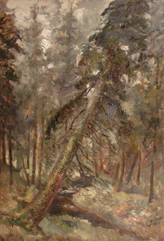 Maastik viltuse kuusega