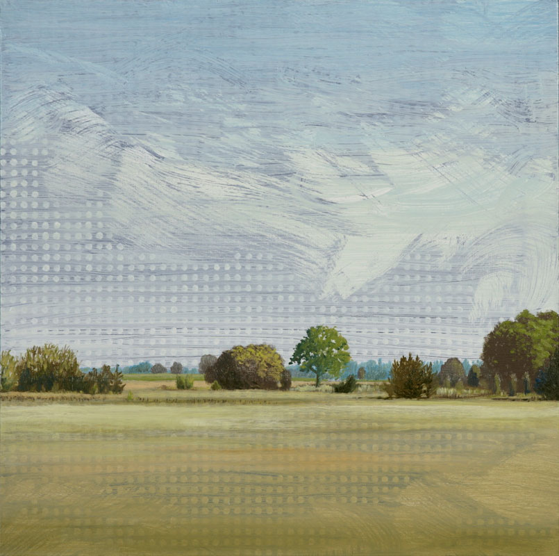 Männipõllu I/The pine field