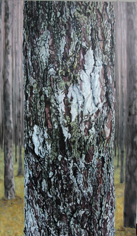 Puude portreed. Mänd Elvas