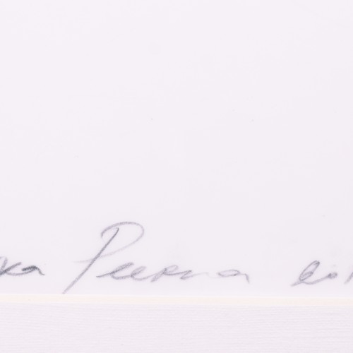 Maelström Series 67