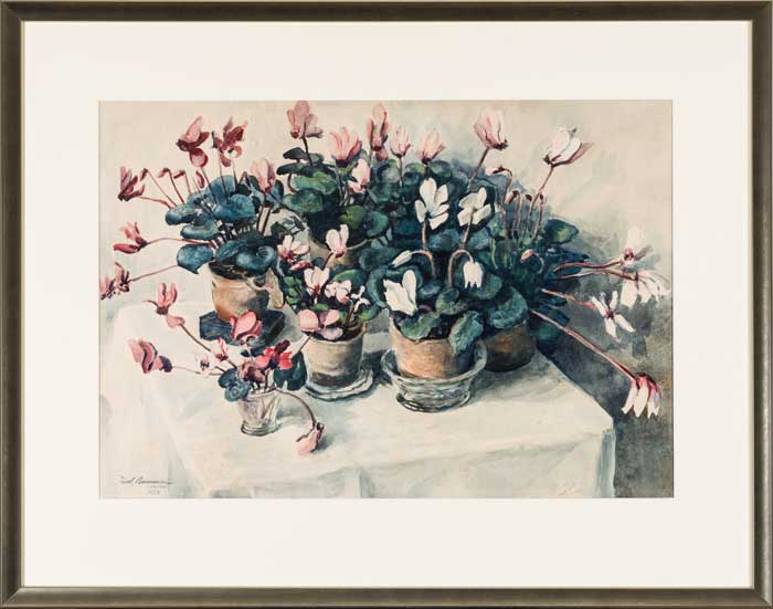 Laud alpikannipottidega