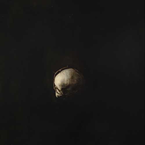 14415.t.jpg
