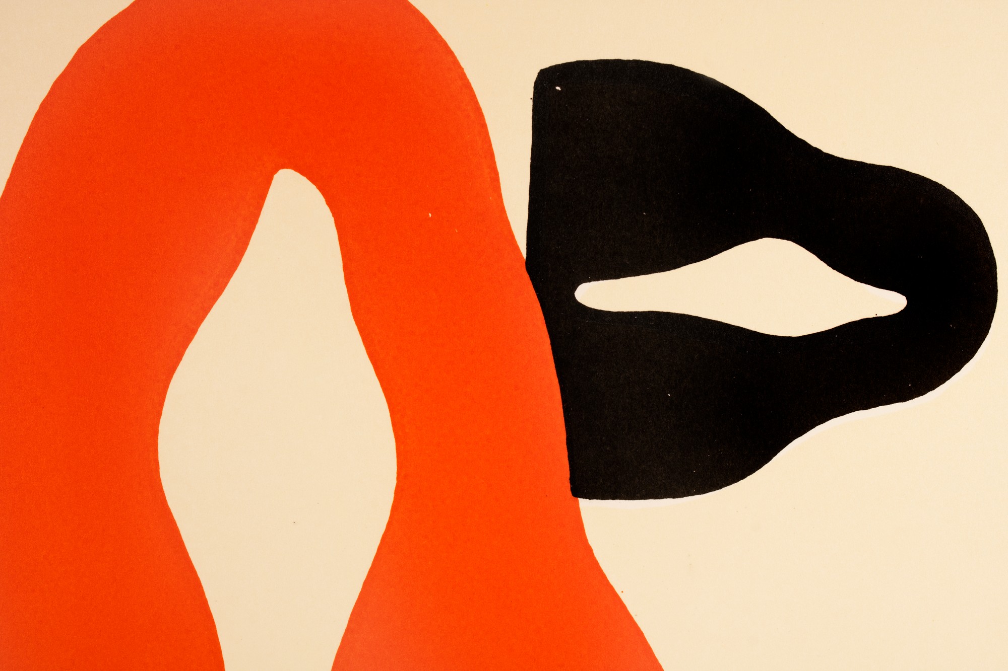 Nature Morte with Many-Hued Faces
