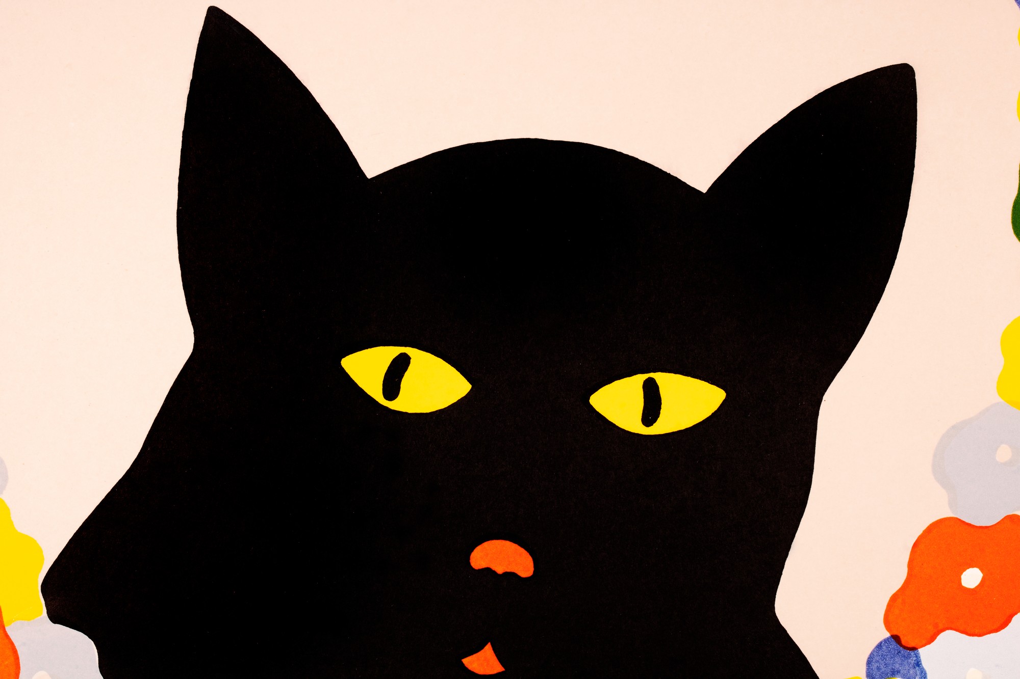 Dear Cat 7/12