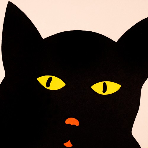 Dear Cat 7/12