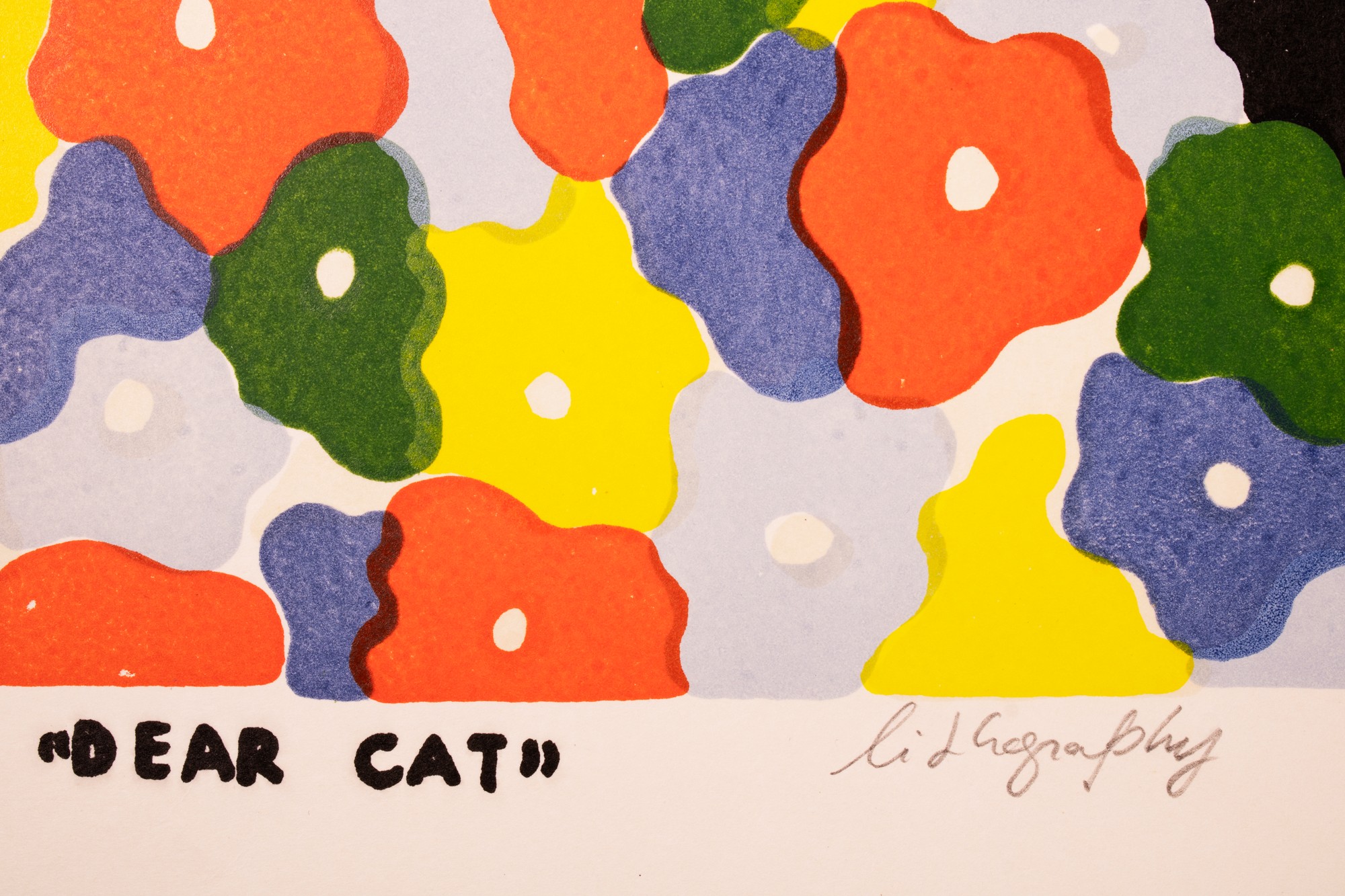 Dear Cat 7/12