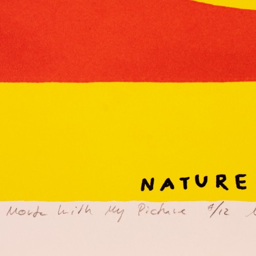Nature Morte with My Picture