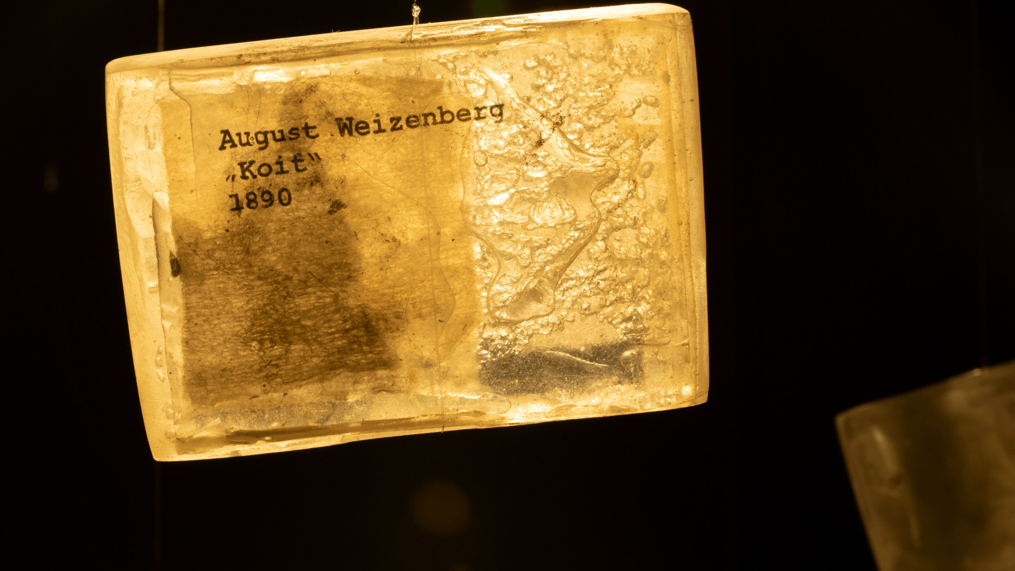 Tolm: August Weizenberg