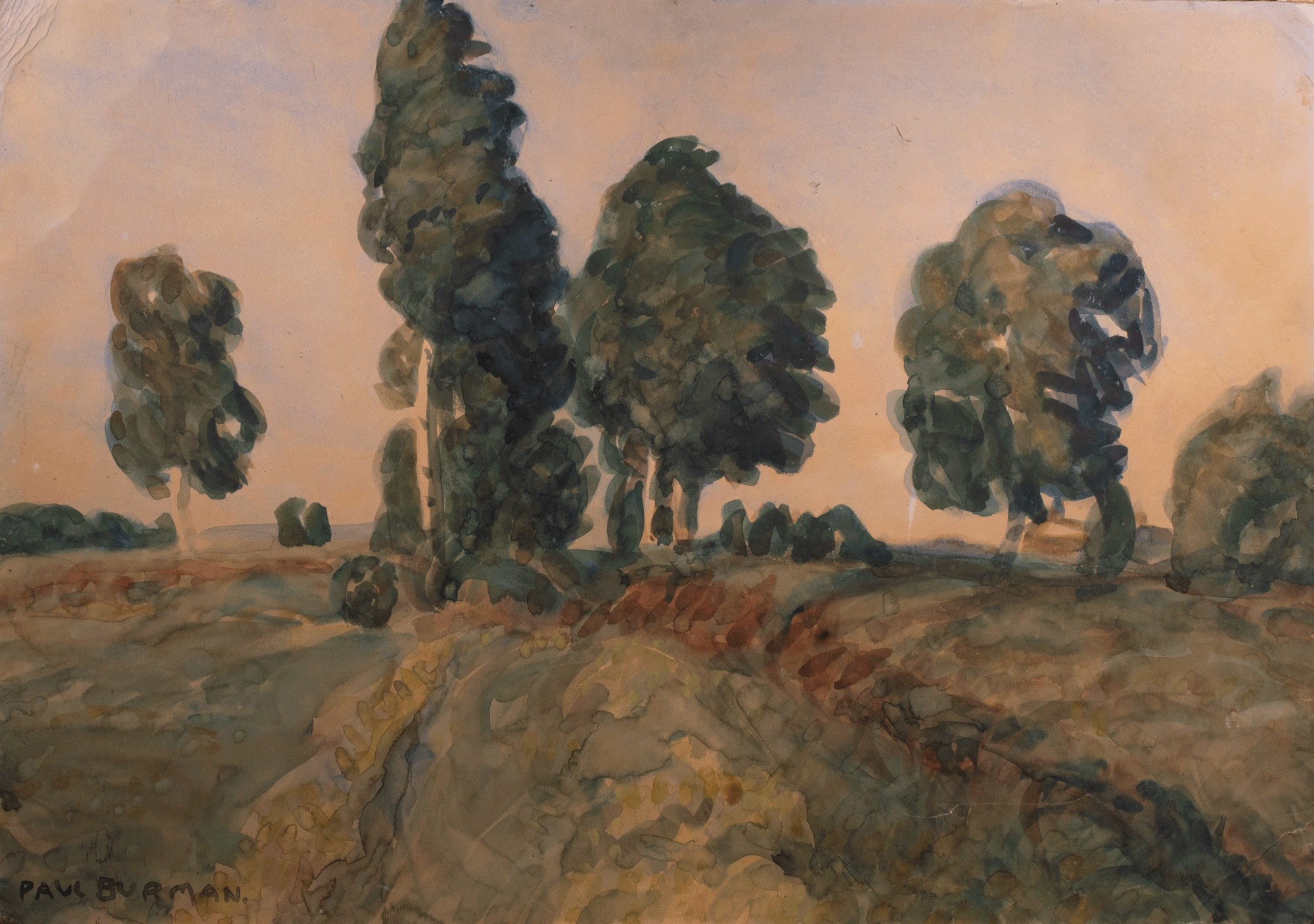 Landscape With Birch Trees