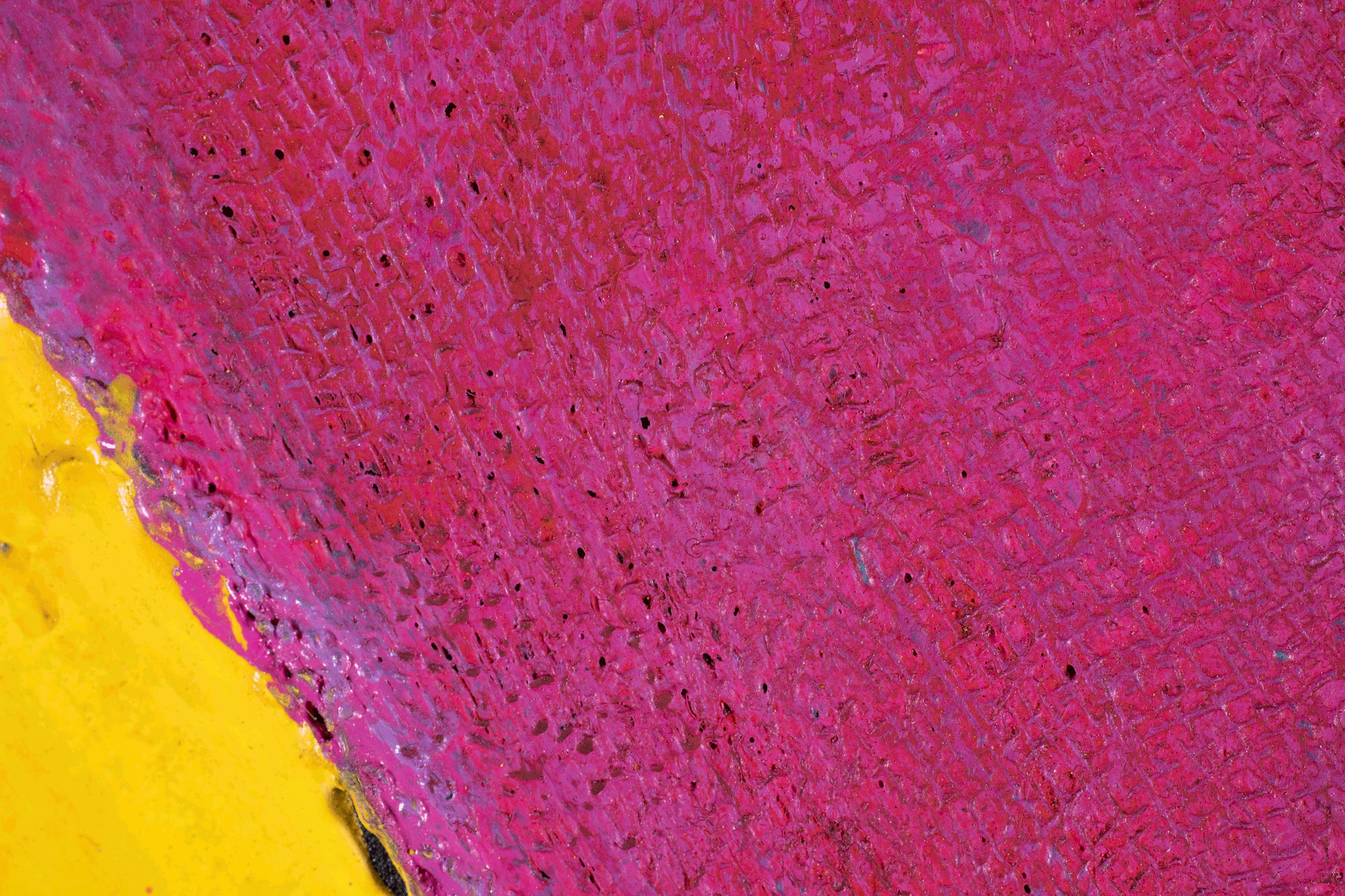 Iseenese lehitsemine