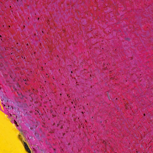 Iseenese lehitsemine