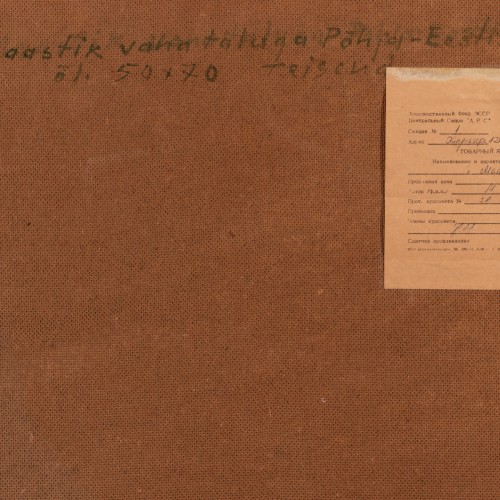 Talvine maastik vana taluga