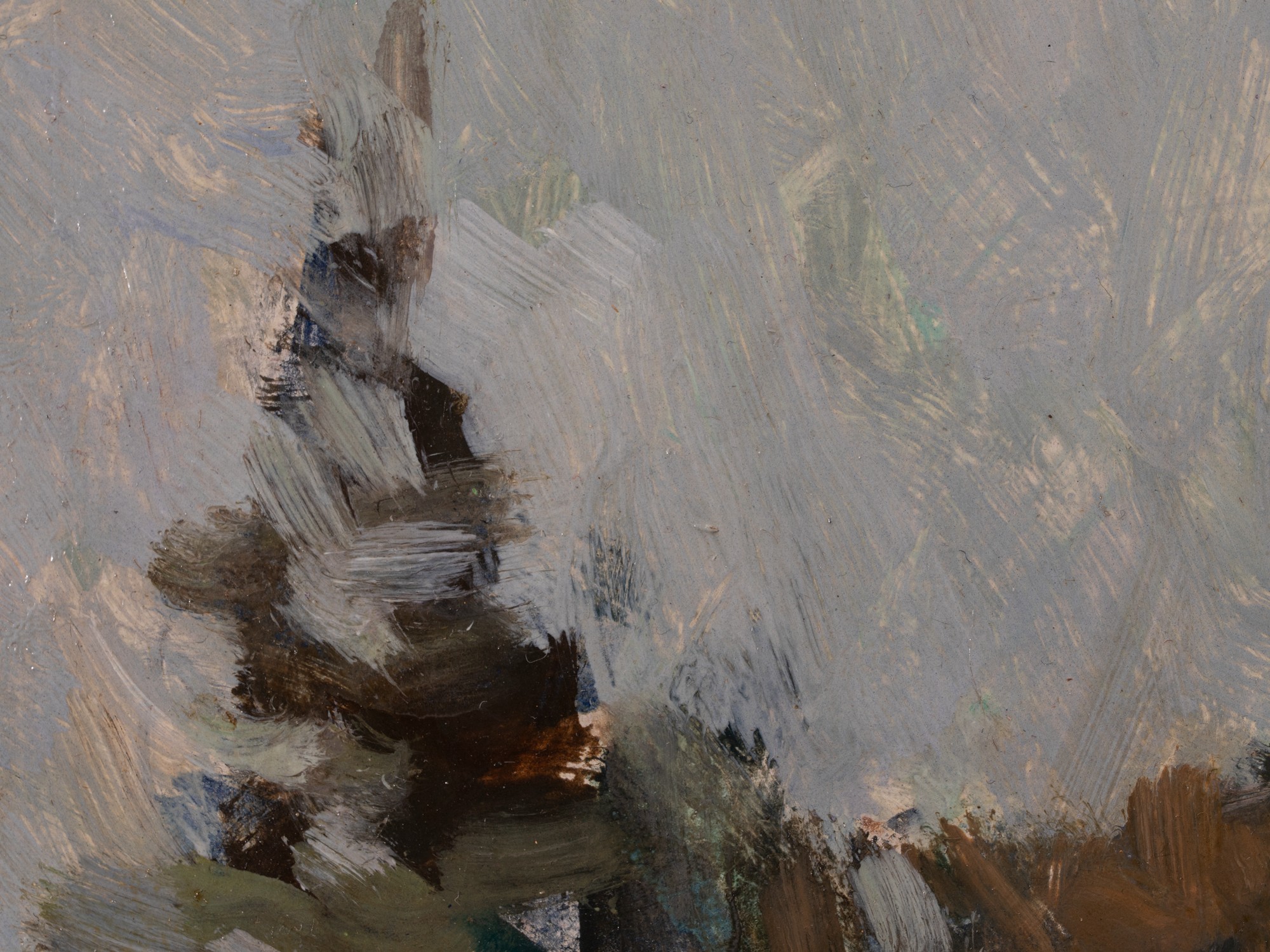 Talvine maastik vana taluga