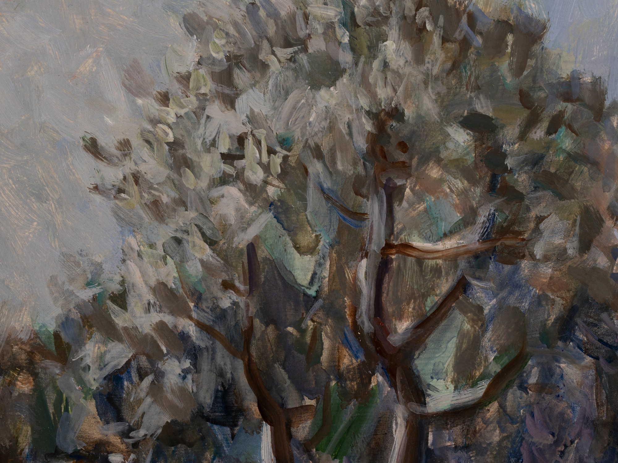 Talvine maastik vana taluga