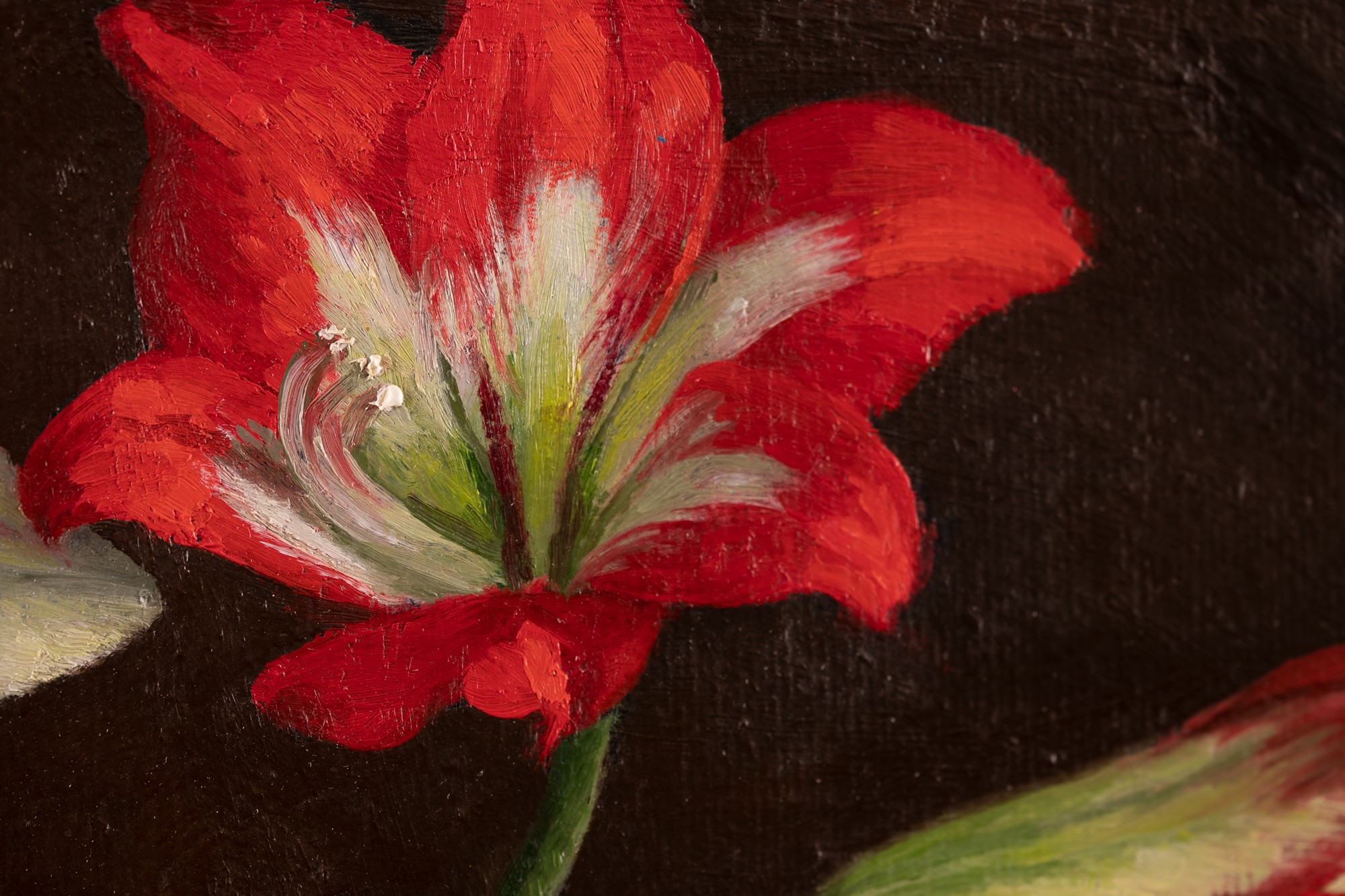 Amarüllised kohviveskiga