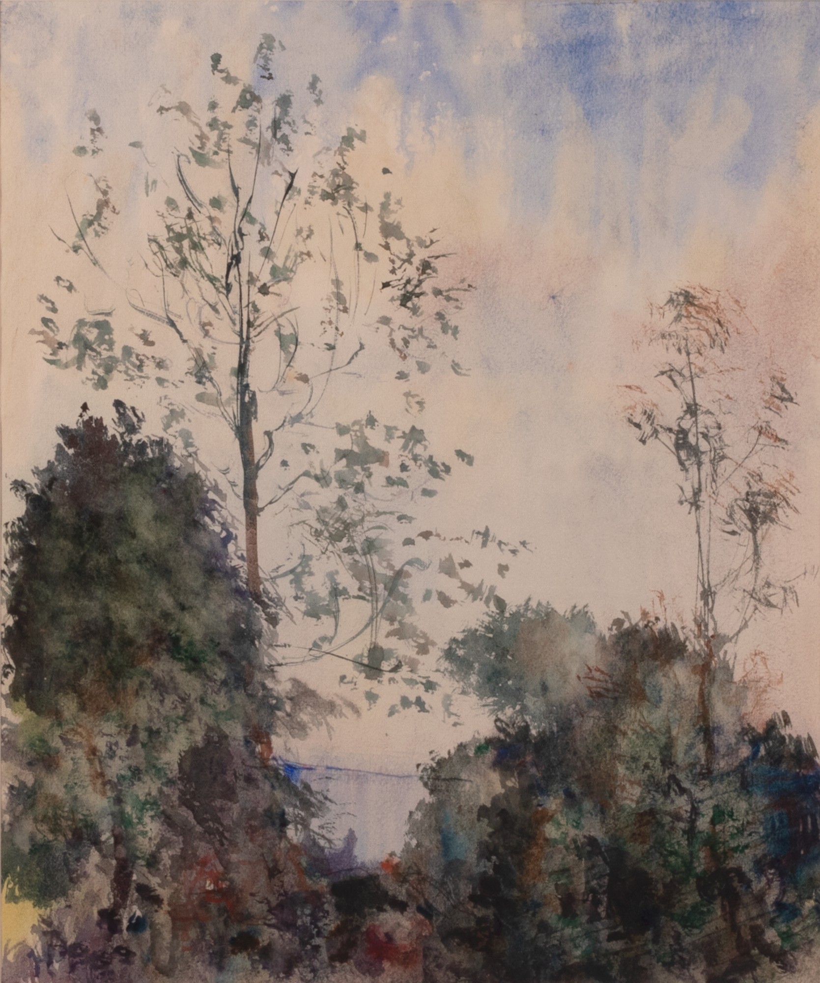Summer Landscape With Trees and the Sea