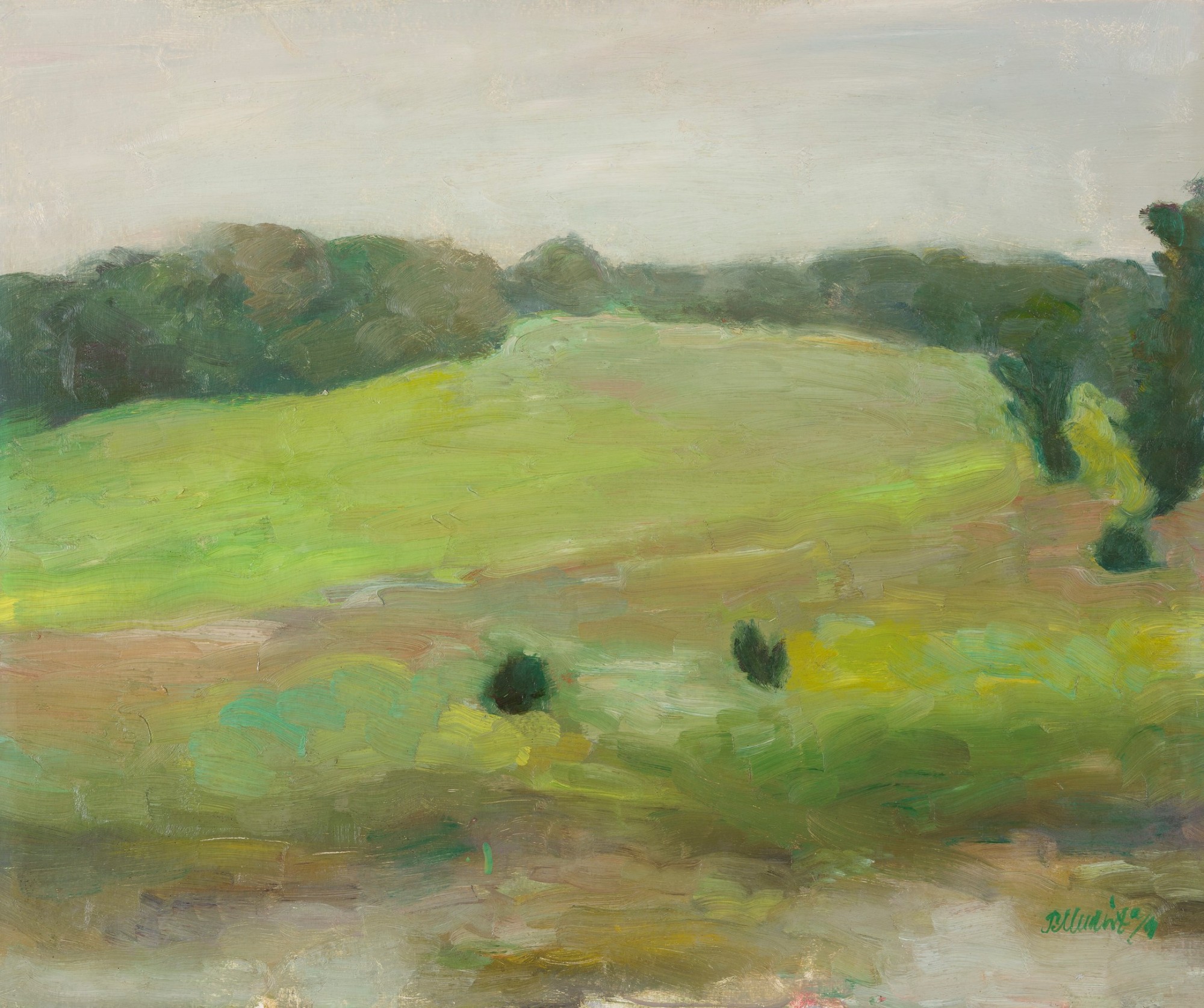 Keskpäevane maastik