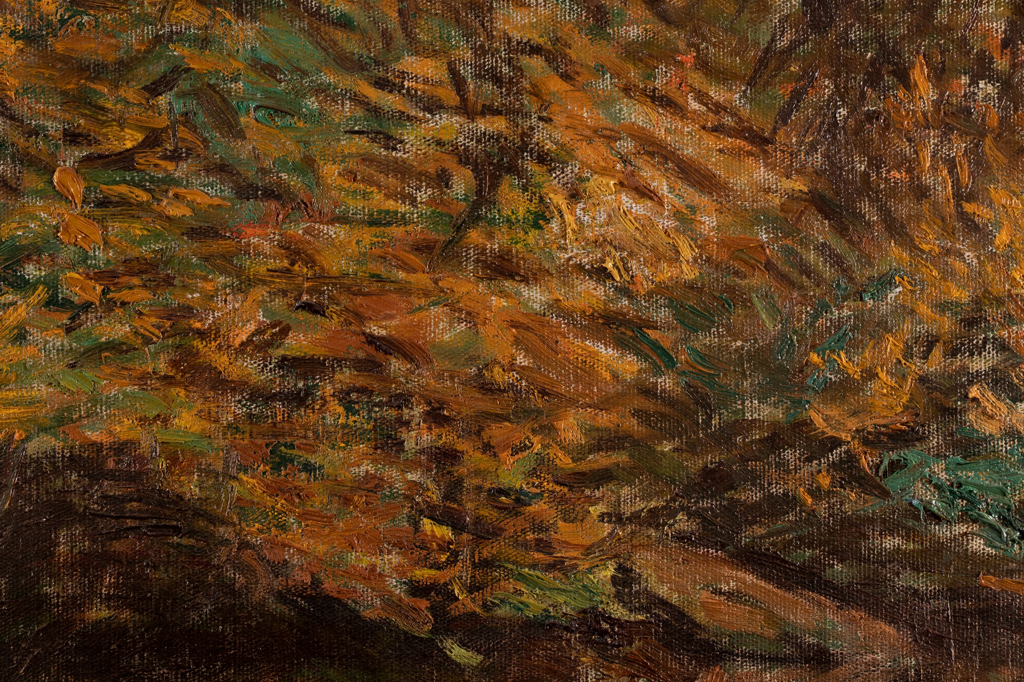 Sügismaastik jõega