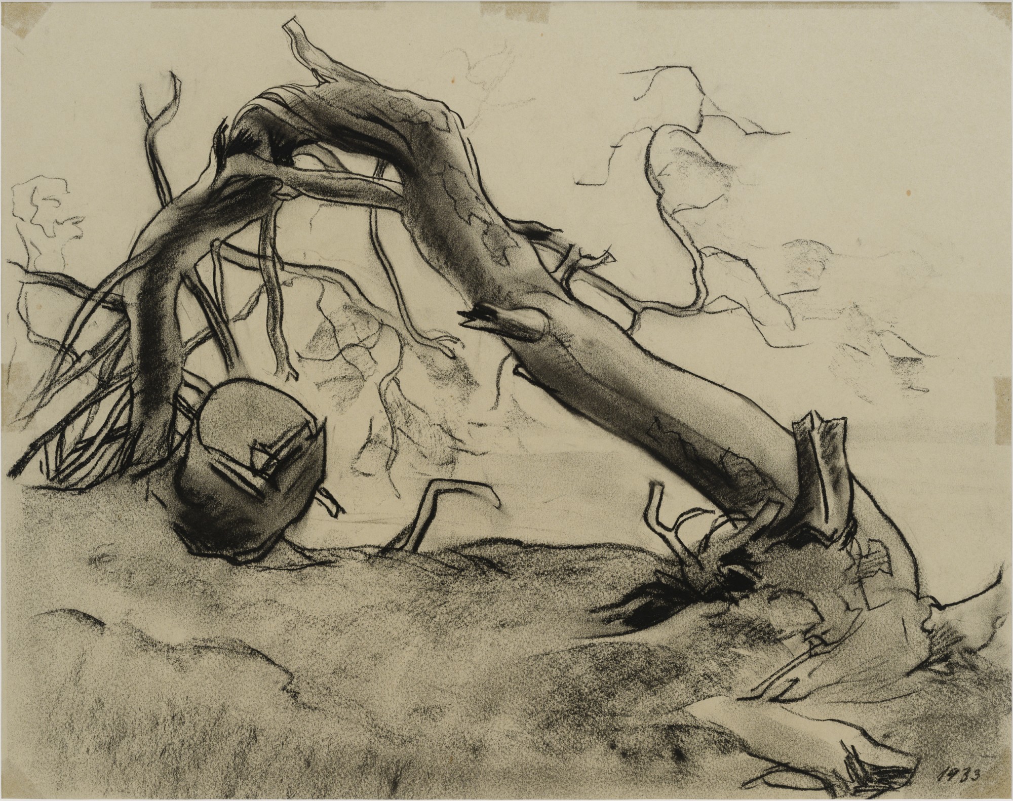 Tormist murtud mänd