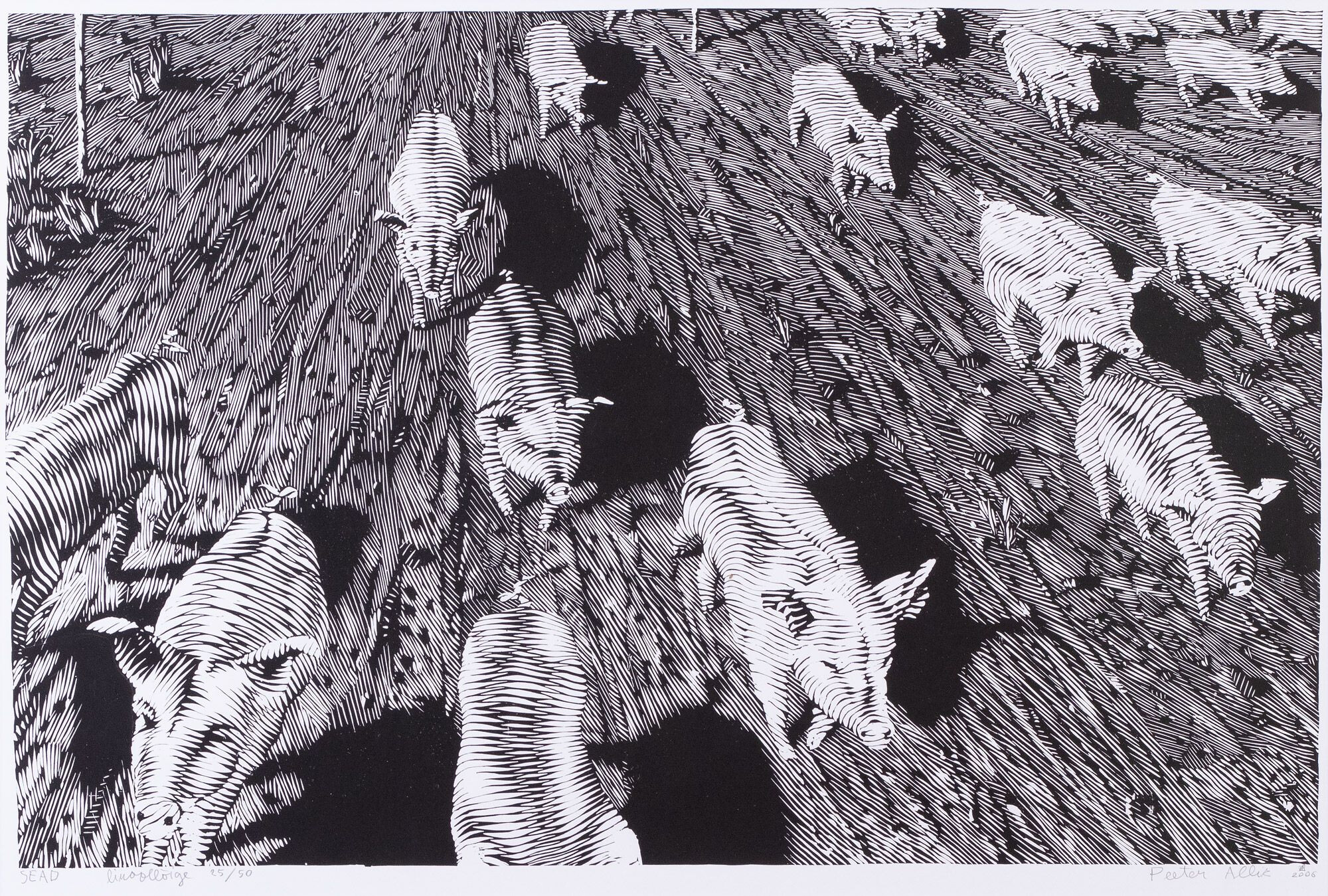 Pigs
