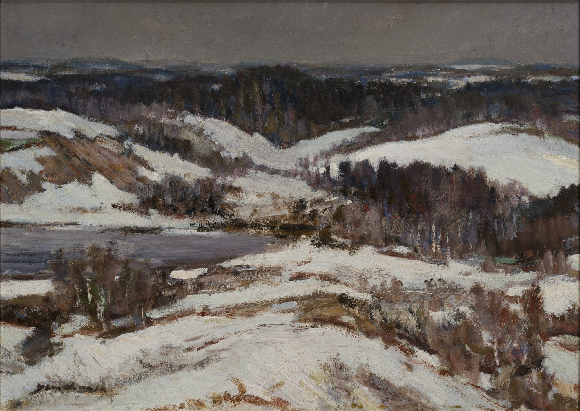 Winter in South Estonia