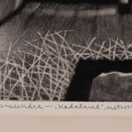 Toimunud