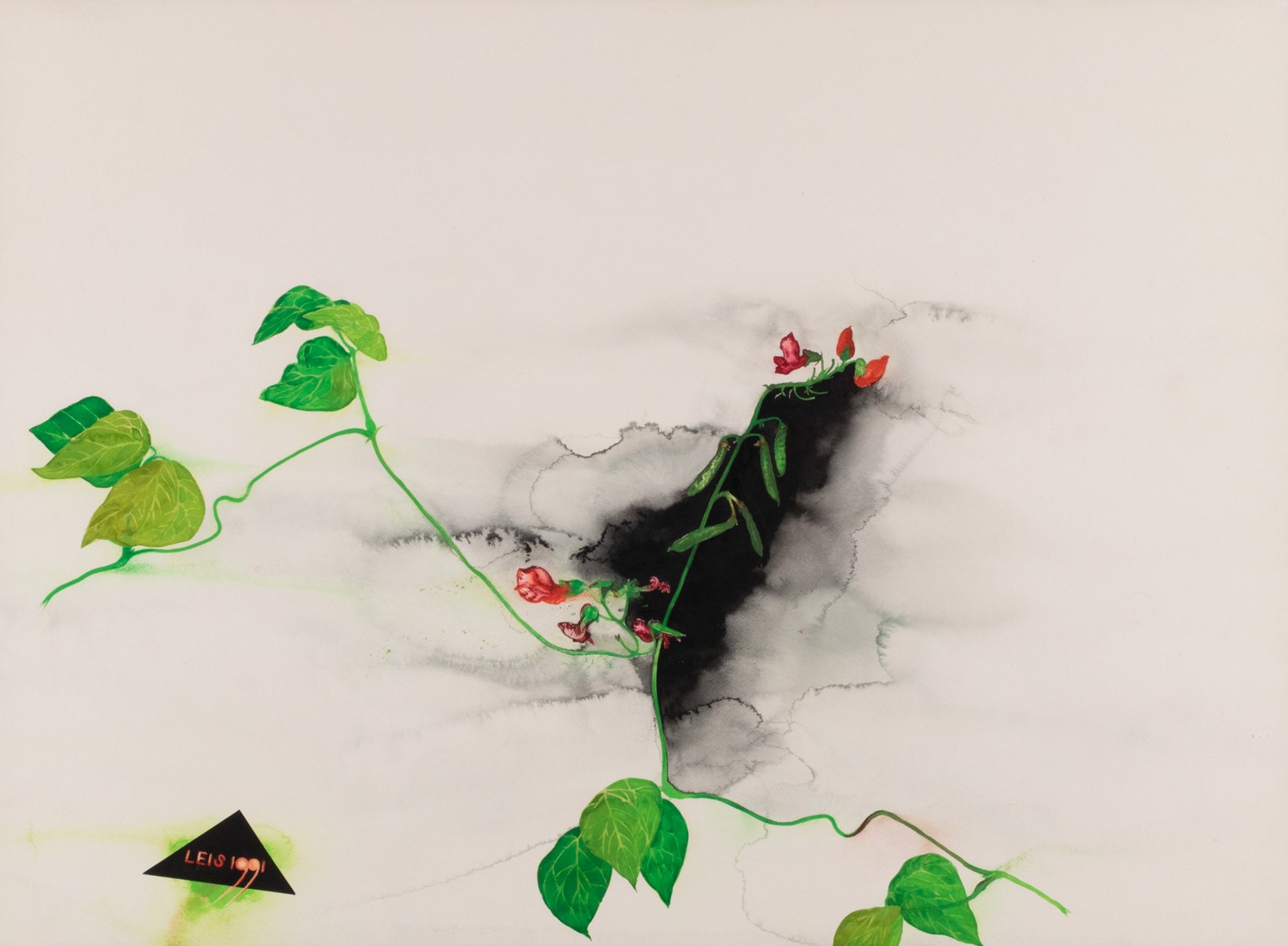 Taimed Võrumaalt II