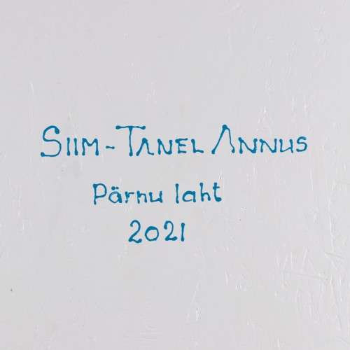 Pärnu laht