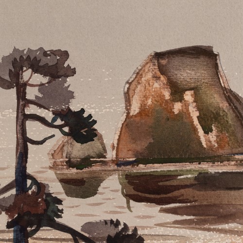 Pines on the Beach