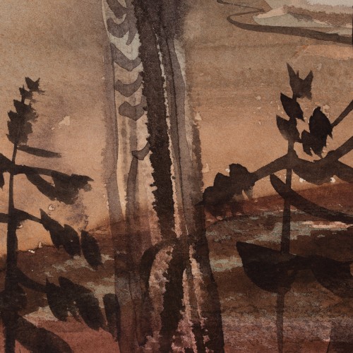 Pines on the Beach