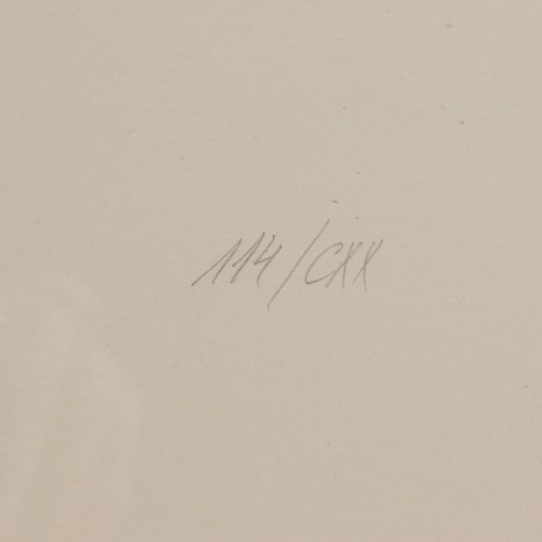 Aknad ja maastikud 114/CXX-4