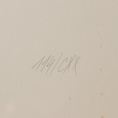 Aknad ja maastikud 114/CXX-1