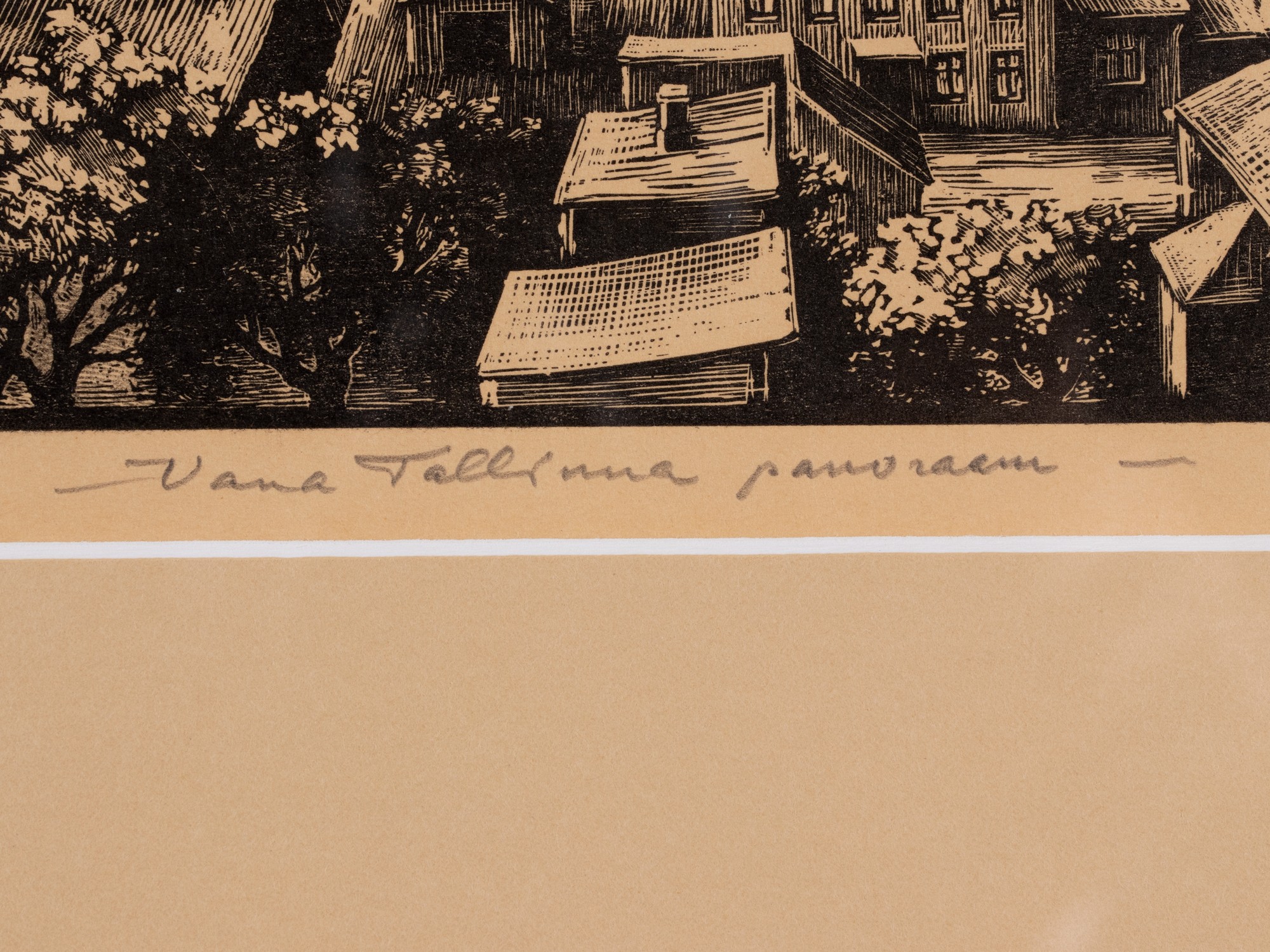 Vana Tallinna panoraam